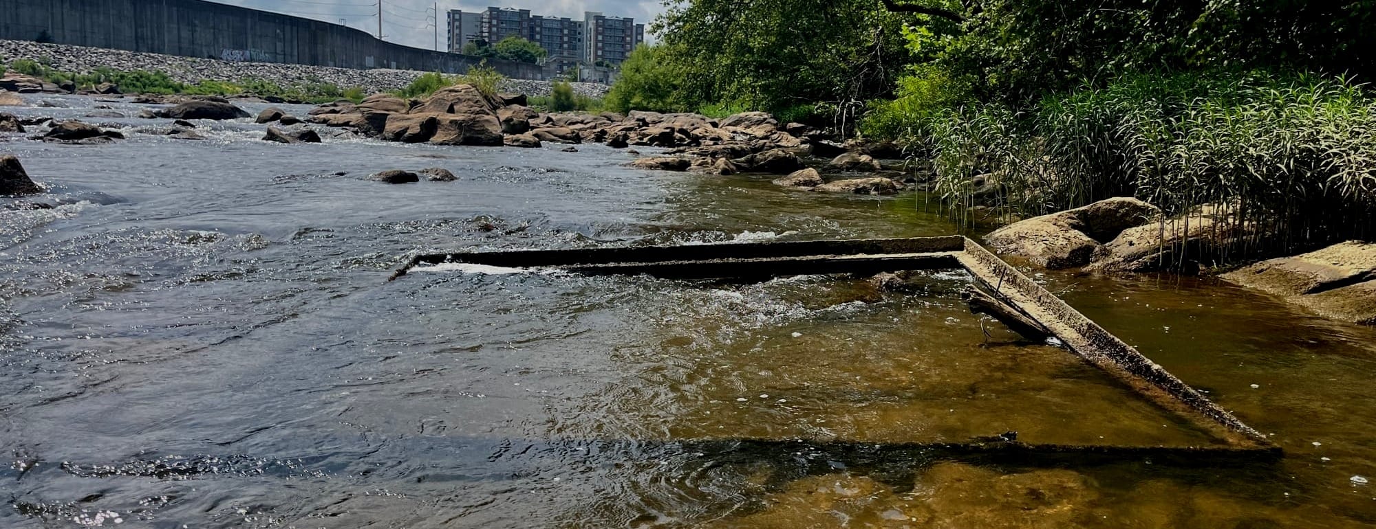 I bought an island on the James River. Then I learned its history...