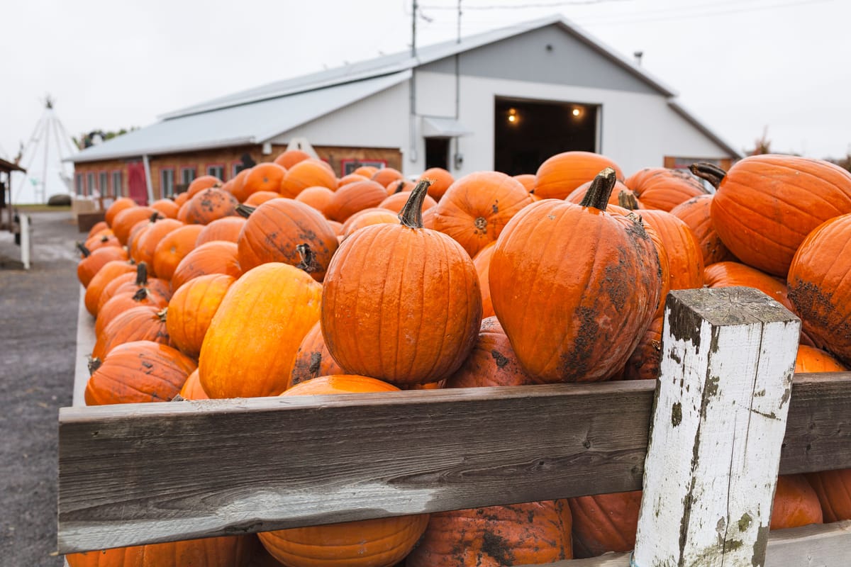 It'll be scary warm and dry for the rest of October