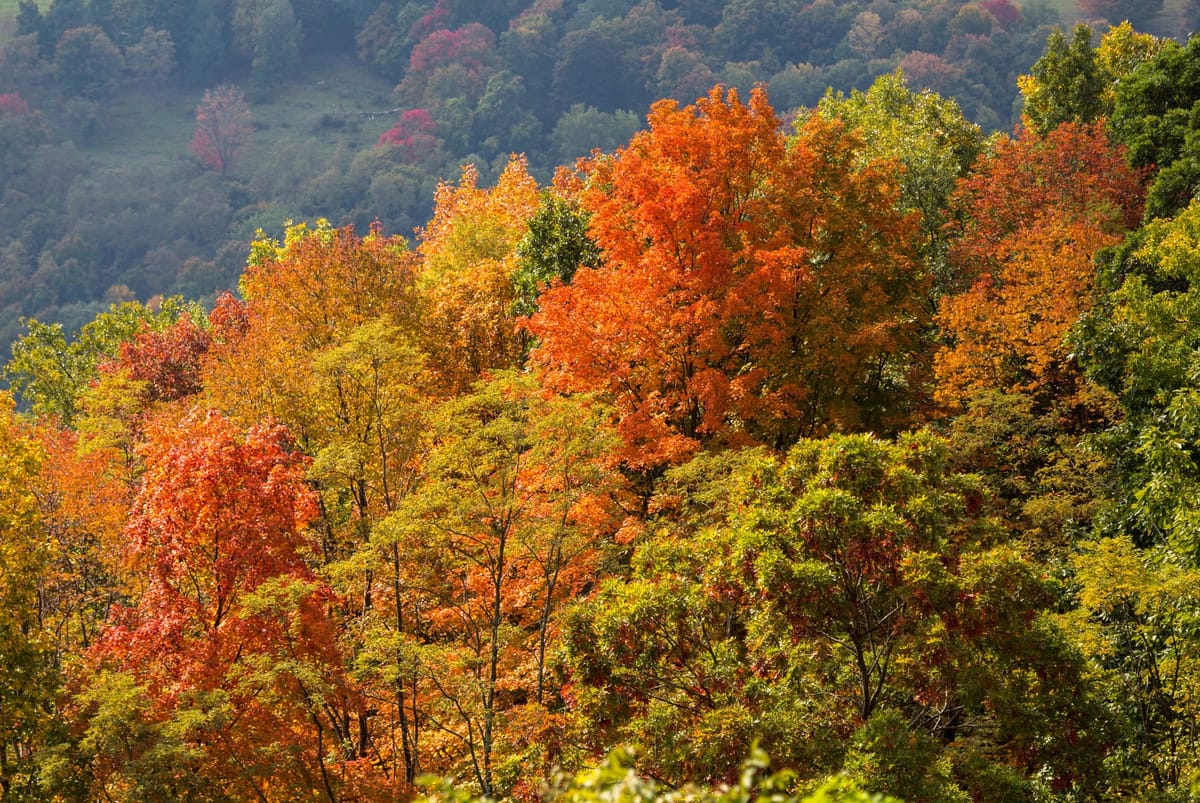 Three less-than-an-hour trips from Richmond to enjoy the fall weather