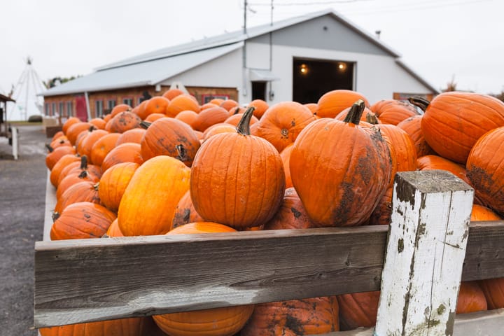 It'll be scary warm and dry for the rest of October